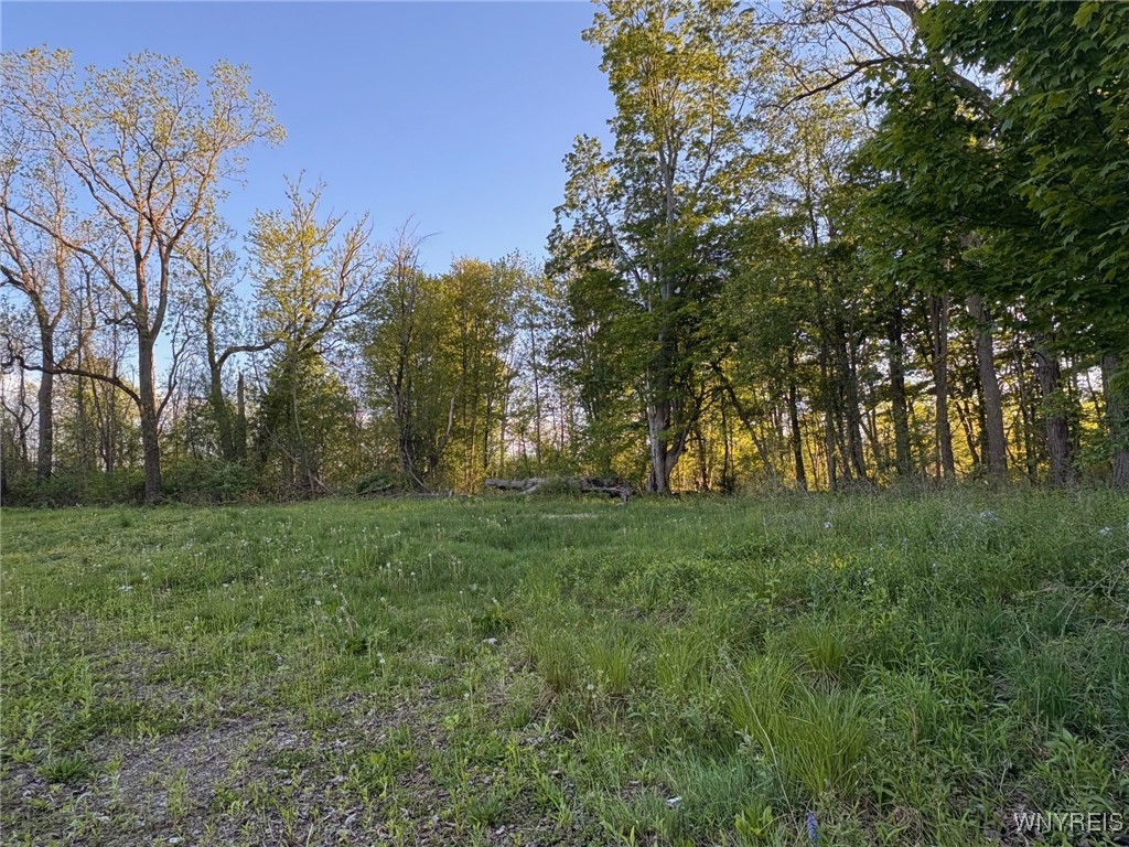 photo undefined: 1441 Sturgeon Point Road, Evans NY 14047