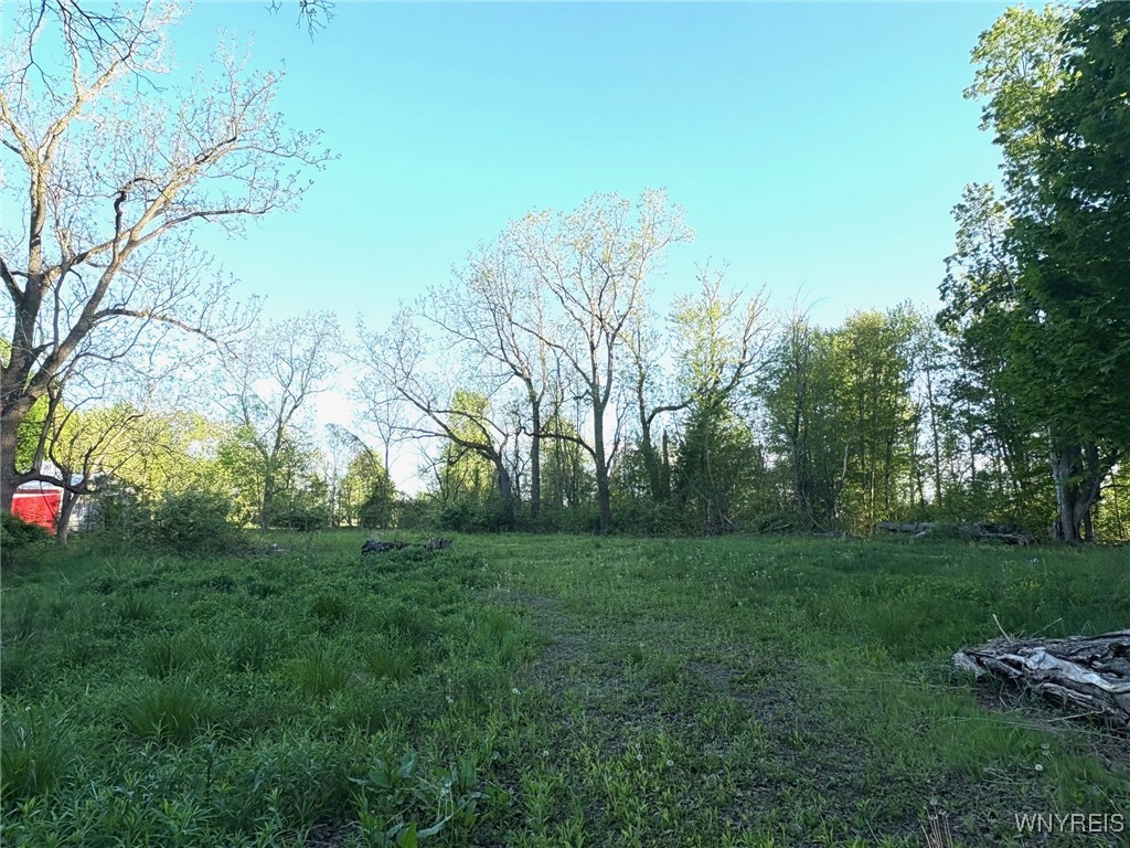 photo 2 : 1441 Sturgeon Point Road, Evans NY 14047
