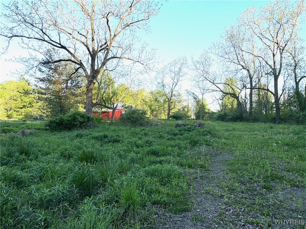 photo 3 : 1441 Sturgeon Point Road, Evans NY 14047