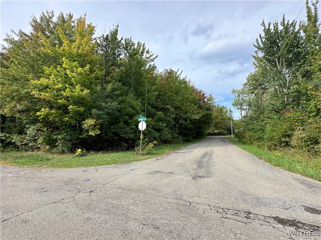 photo bbP-fU: 9528 Chippewa Street, Evans NY 14006