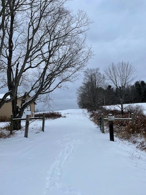 photo 0: 0 Old Nichols Road, Tuscarora NY 14801