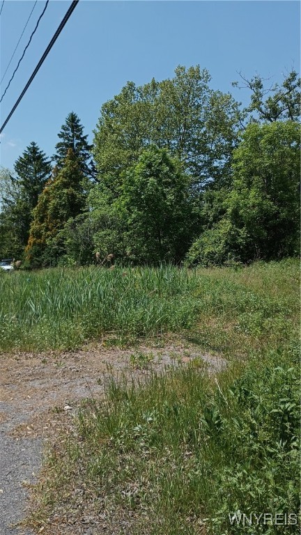 photo undefined: 4876 William Street, Lancaster NY 14086