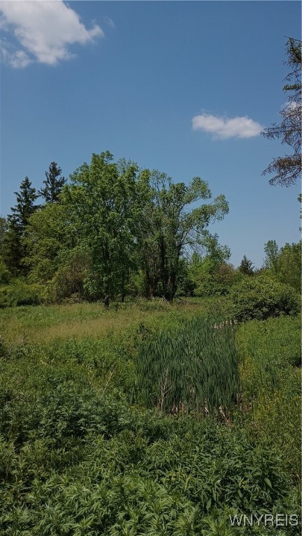photo GUlcMo: 4876 William Street, Lancaster NY 14086
