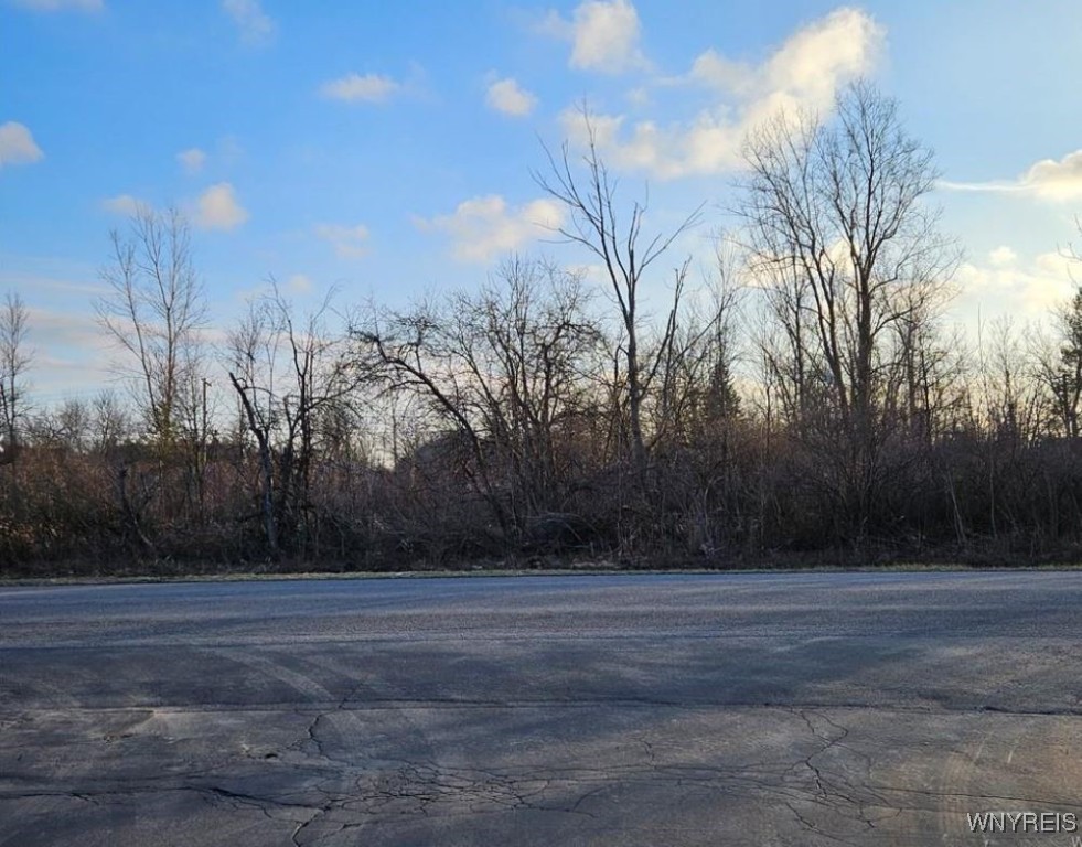 photo SFoiOr3RsQAqjSdUC4RXHogDTtdVeKH4: 291 Erie Street, Lancaster NY 14086