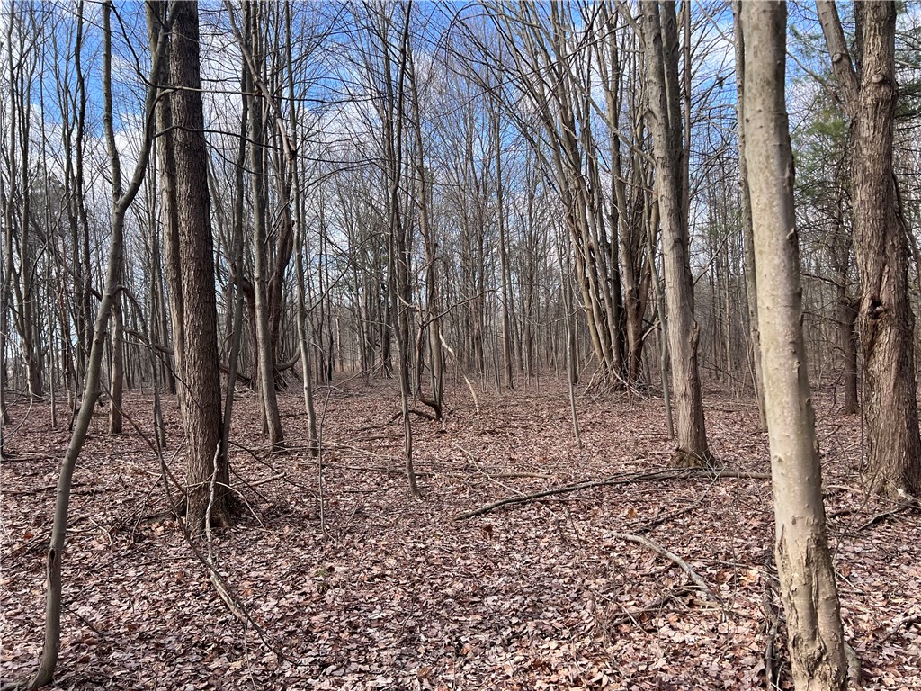 photo 9kWj6aNjnX2JUXrcNhFzXlWfM: 0 Ryther Road, Evans NY 14006