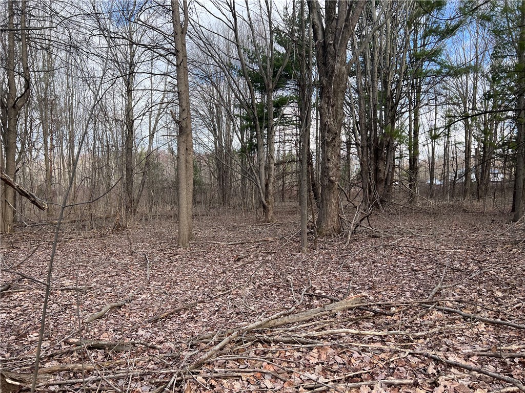 photo undefined: 0 Ryther Road, Evans NY 14006