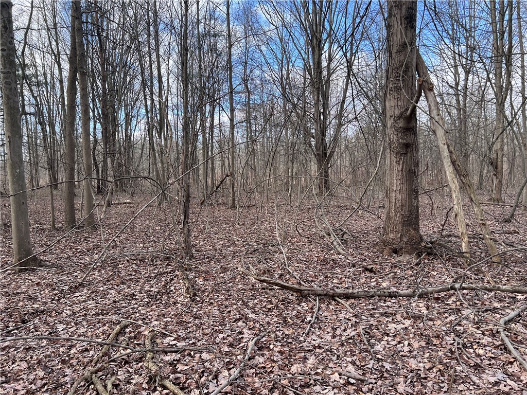 photo 2 : 0 Ryther Road, Evans NY 14006