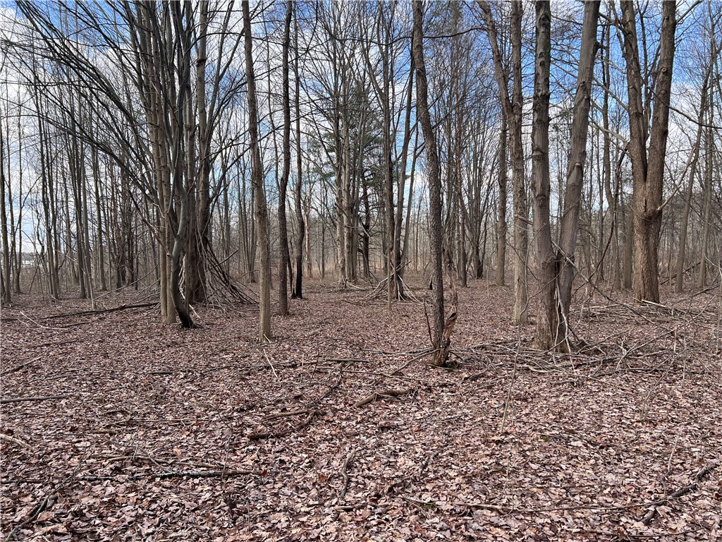photo 3 : 0 Ryther Road, Evans NY 14006