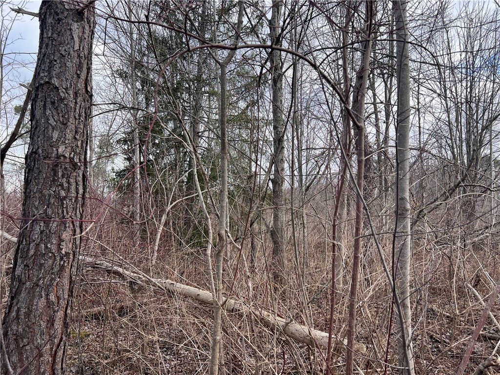 photo 4 : 0 Ryther Road, Evans NY 14006