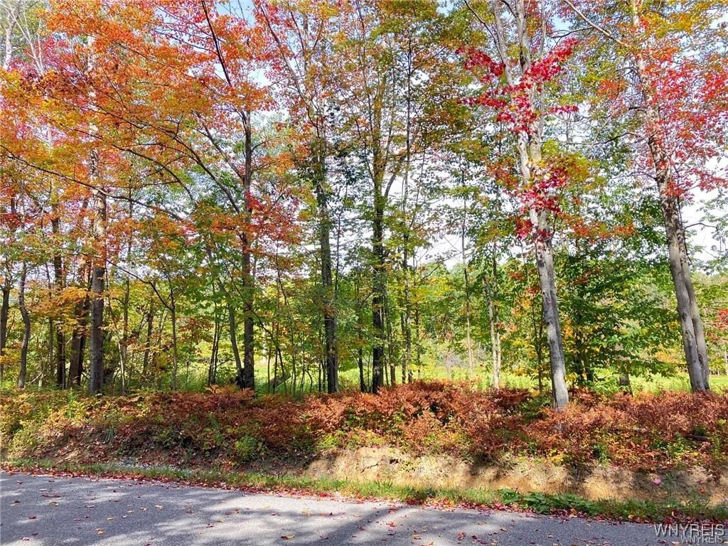 photo 8V1yzE2AS-IQJ9xapg2CnWeZtqc7z5dH0: 3620 Yochum Road, Eden NY 14057