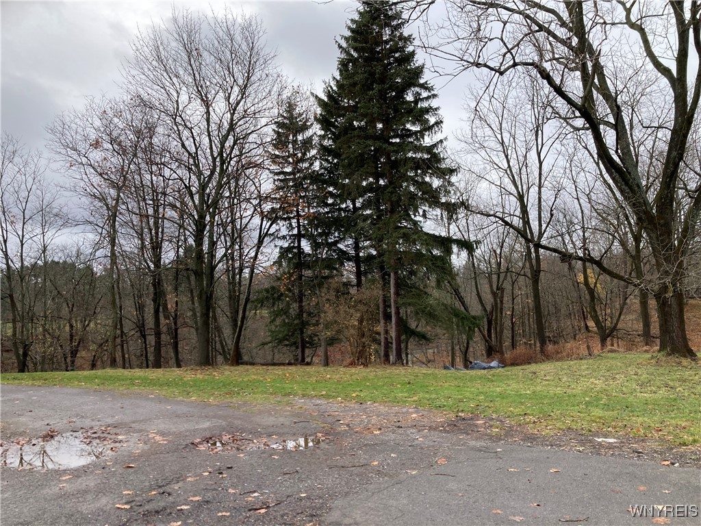 photo undefined: 75 Schaefer Road, West Seneca NY 14218
