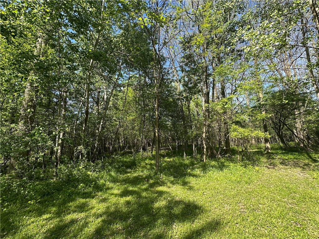 photo 2 :  Greenfield Parkway, Hamburg NY 14075