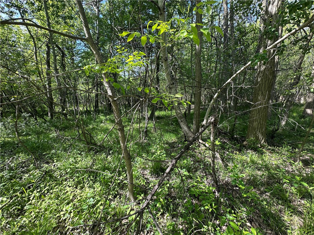 photo 1 :  Meadowbrook Parkway, Hamburg NY 14075
