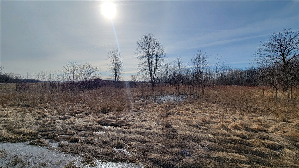 photo LYdjMekd0Fyv9wLHQY2yz2-VFeZpwqoNYaJFYs:  Lake Road, Porter NY 14131