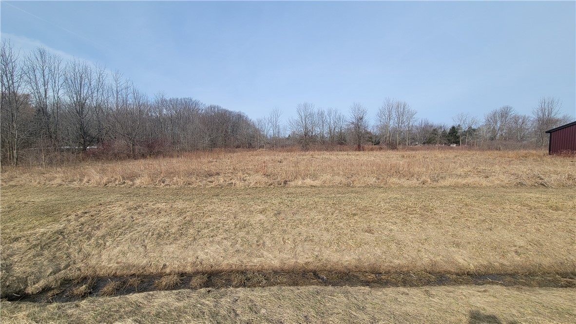 photo 4 :  Lake Road, Porter NY 14131