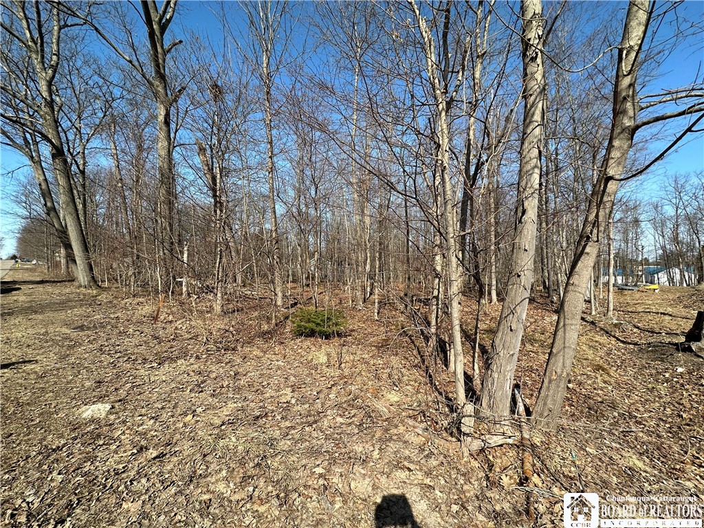 photo 1 :  Timber Avenue, Evans NY 14006