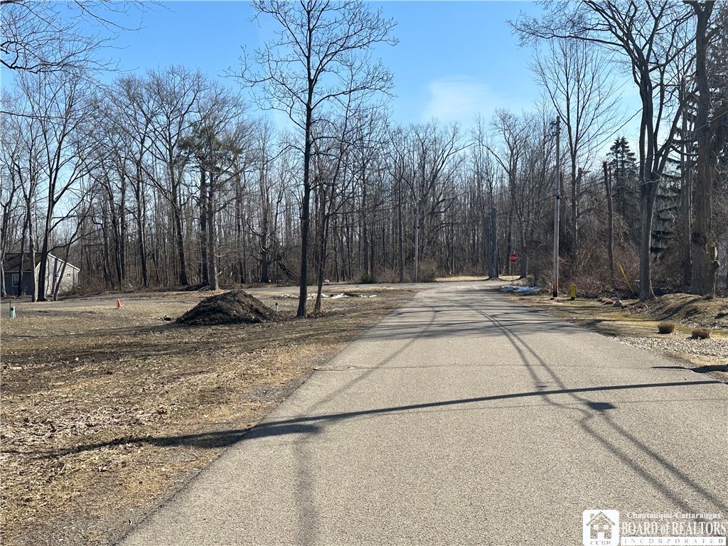 photo 2 :  Timber Avenue, Evans NY 14006