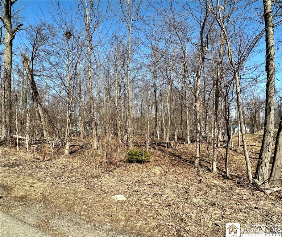 photo juNQ:  Timber Avenue, Evans NY 14006