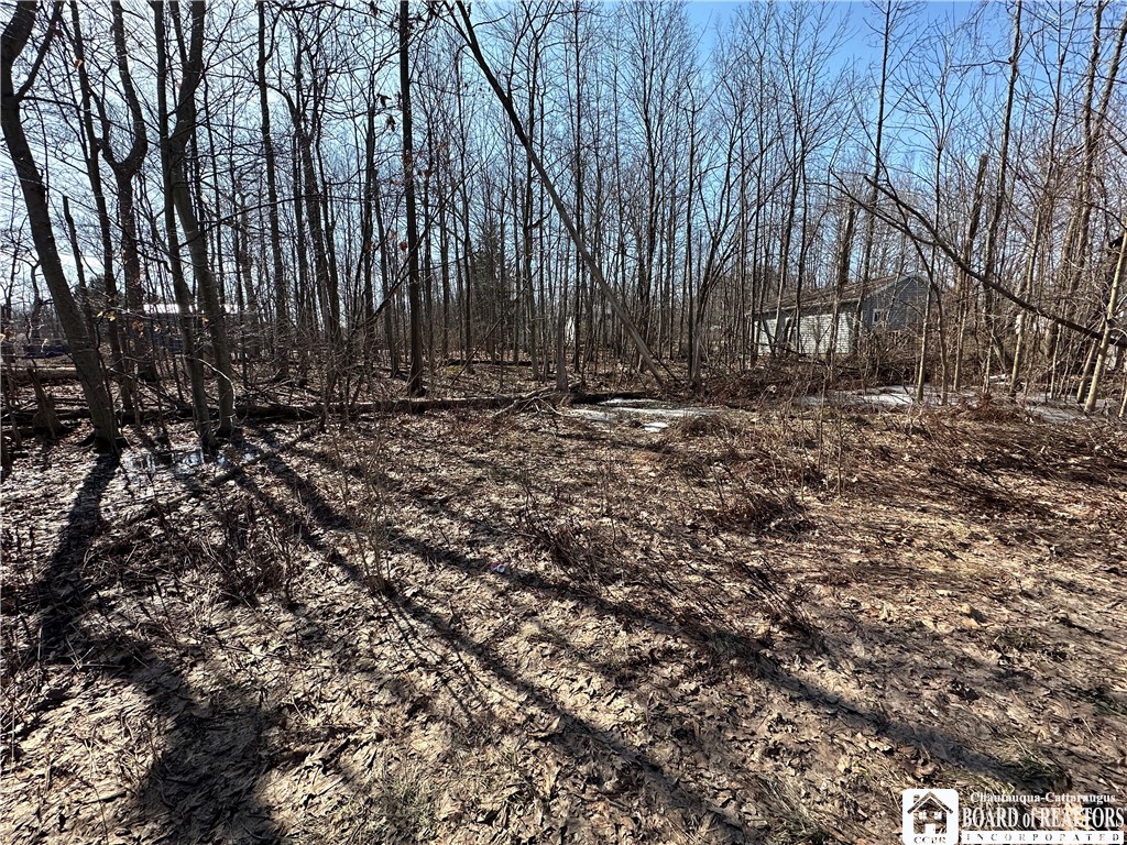 photo cYznjGw:  Potomac Avenue, Evans NY 14006