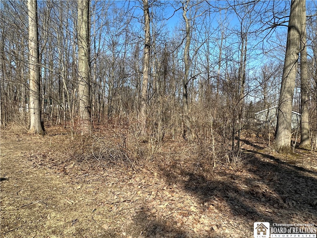 photo nprUEDho-:  Potomac Avenue, Evans NY 14006