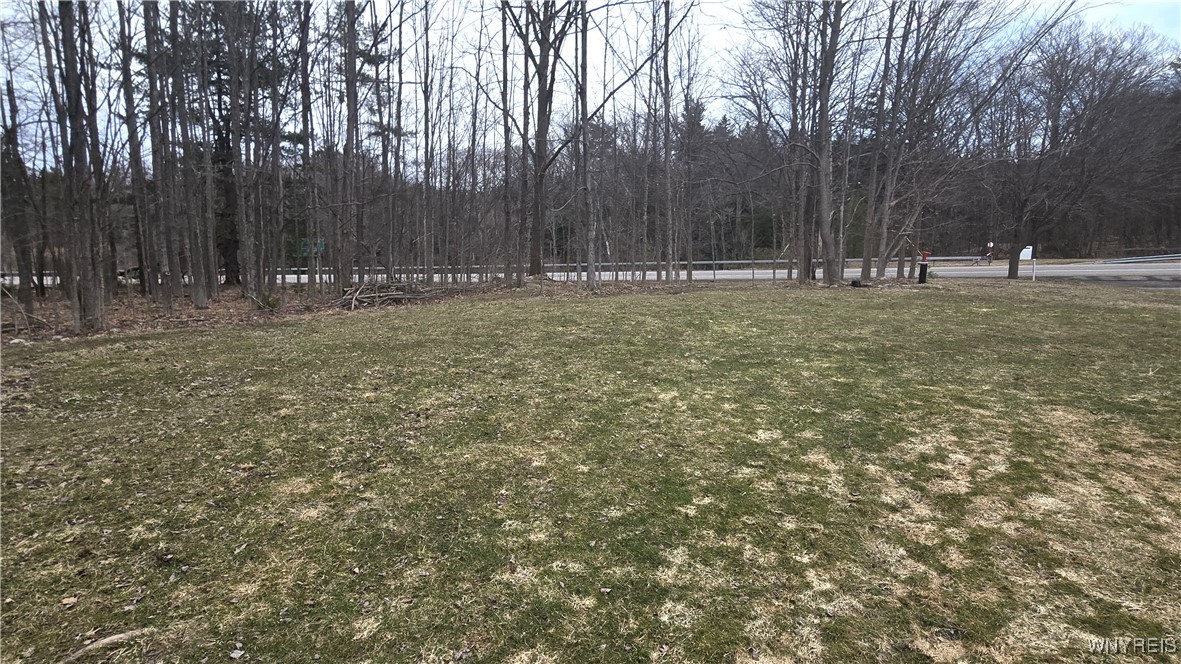 photo undefined: 6194 Chestnut Ridge Road, Orchard Park NY 14127