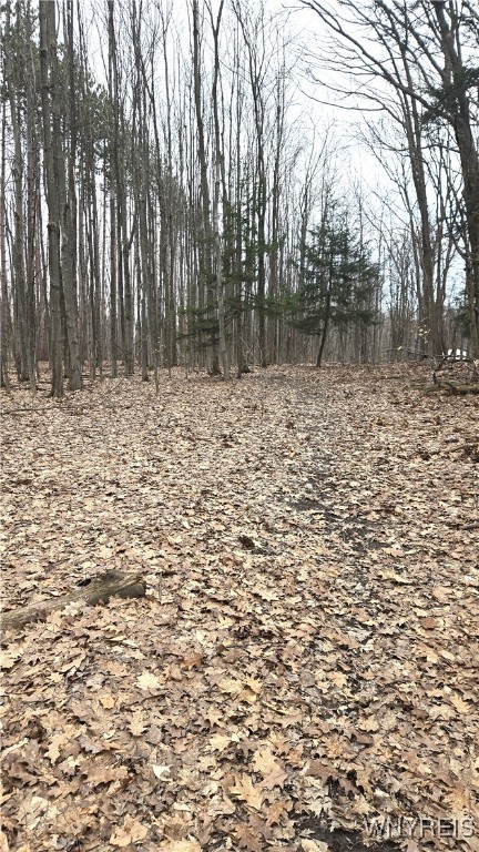 photo 2 : 6194 Chestnut Ridge Road, Orchard Park NY 14127