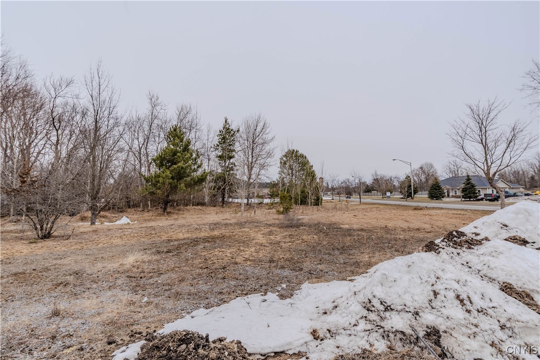 photo undefined:  Bellew Avenue South, Watertown City NY 13601