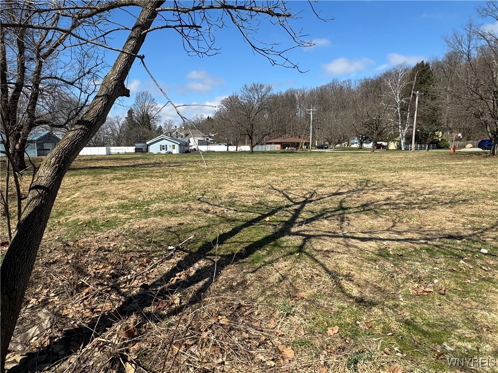 photo undefined: V/L Armes Court, Collins NY 14070