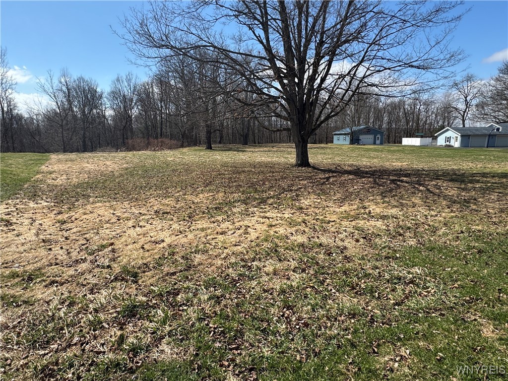 photo 1 : V/L Armes Court, Collins NY 14070