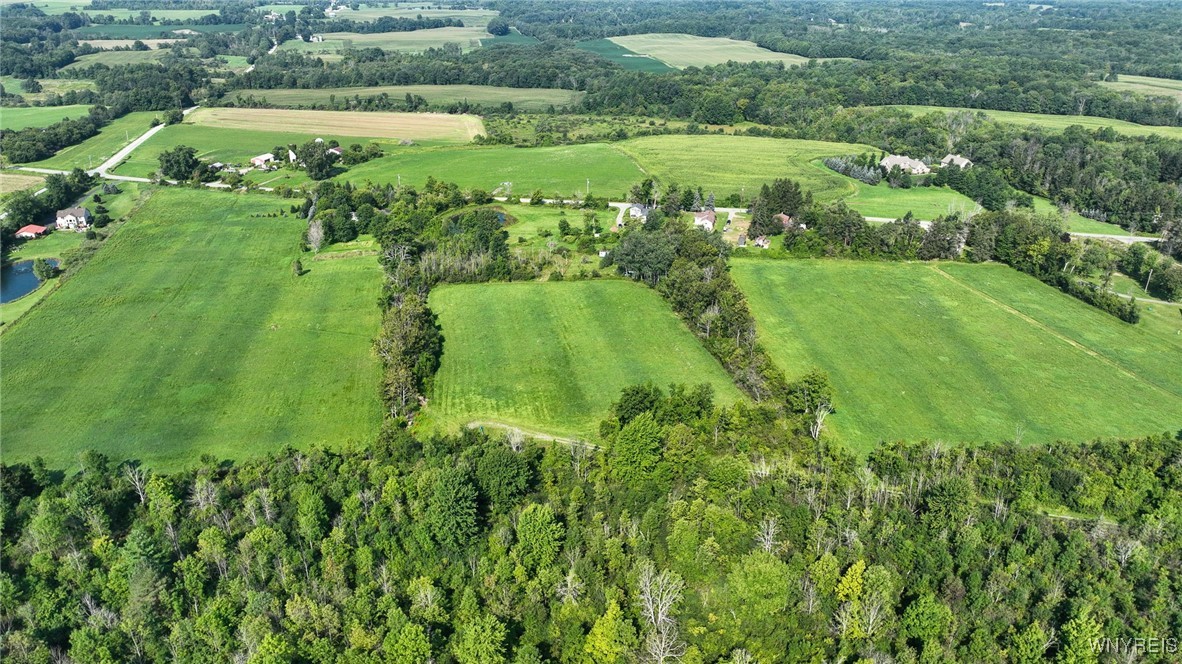 photo 1 :  East Blood Road, Marilla NY 14052