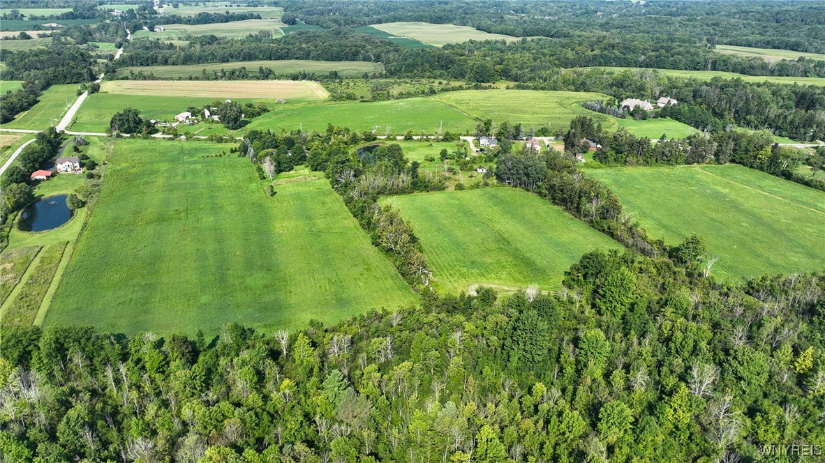 photo undefined:  East Blood Road, Marilla NY 14052