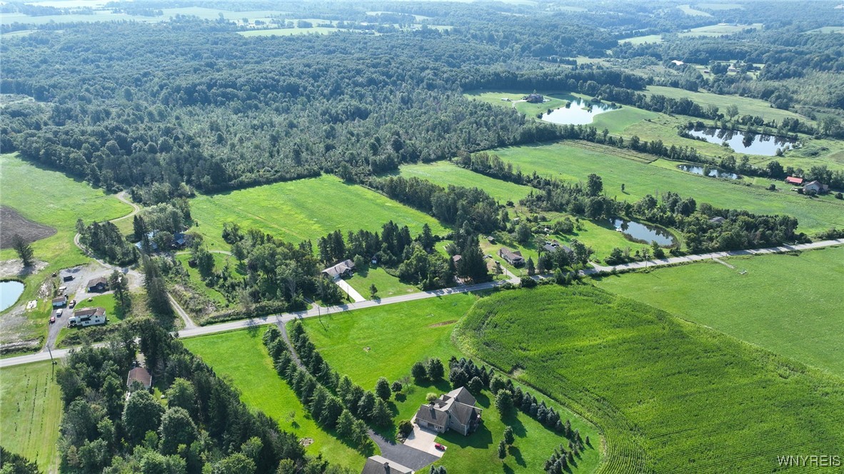 photo 2 :  East Blood Road, Marilla NY 14052