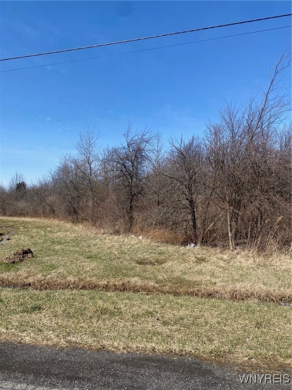 photo 0: 1955 Youngstown Wilson Road, Porter NY 14131