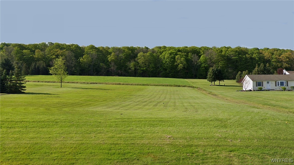 photo SrSjfuJGT6J3HLGN4Aw7oWXFiu7NSzjckC6blMg:  Ridge Road, Lewiston NY 14092