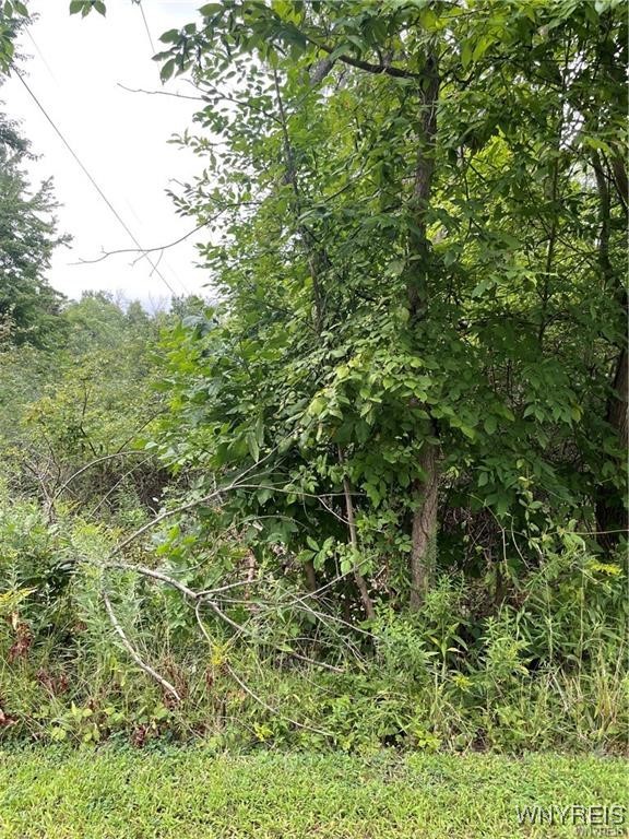 photo 0:  Monroe Avenue, Evans NY 14006