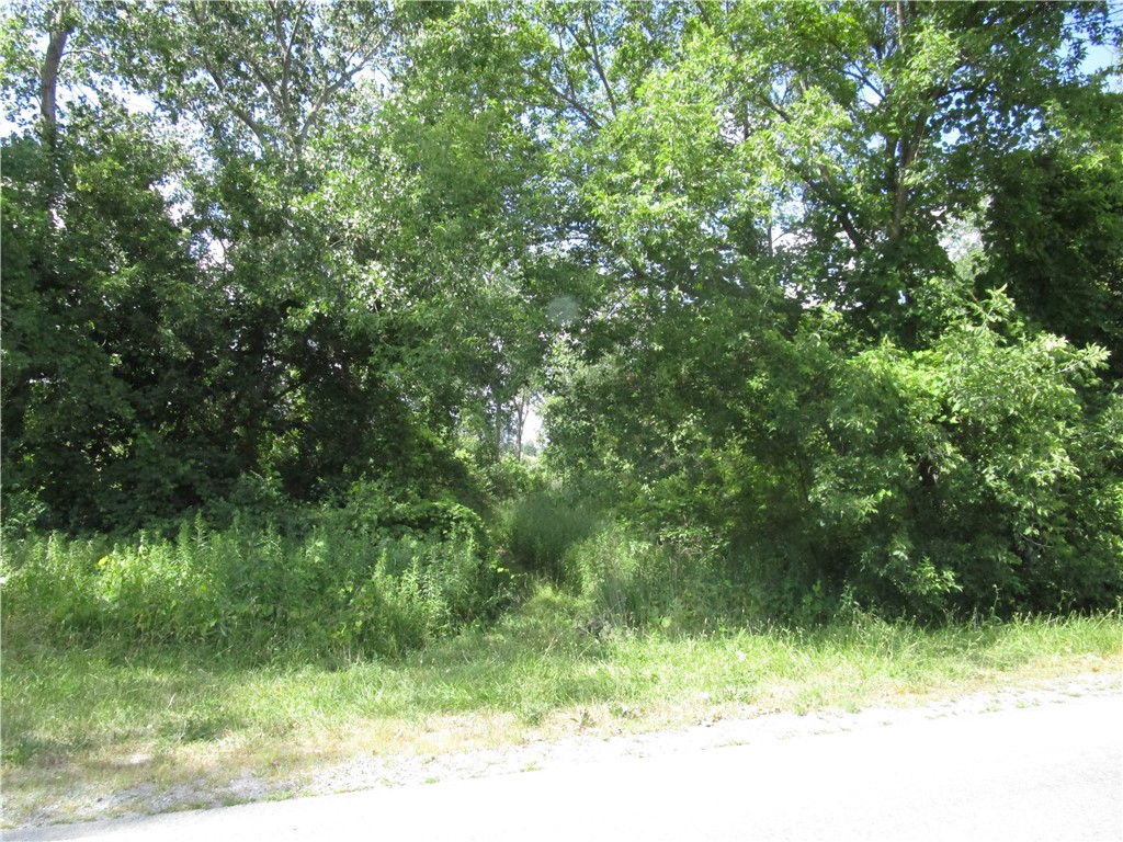 photo 0:  Rush West Rush Road, Rush NY 14543
