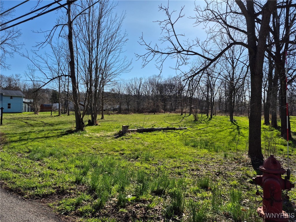 photo 4 : 87 Center Street, Lockport City NY 14094