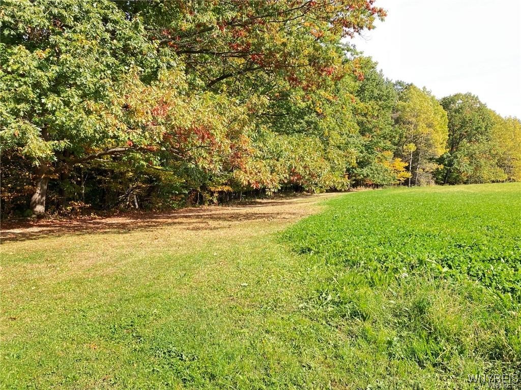 photo KnipjOdIBNGQRVLqVUEmQ3SnaRJA: VL 3620 #A Yochum Road, Eden NY 14057