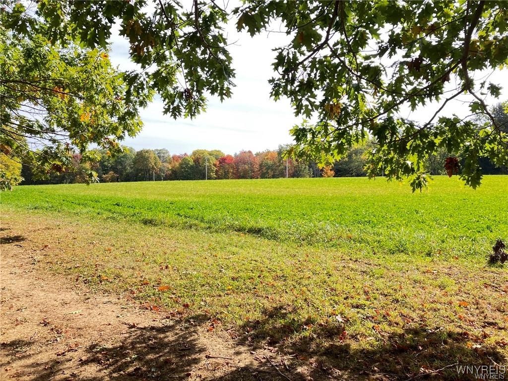 photo 2 : VL 3620 #A Yochum Road, Eden NY 14057