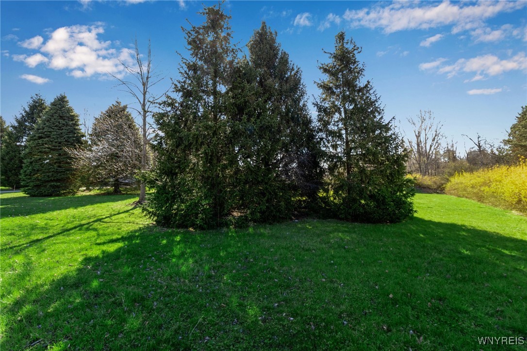 photo undefined: 9545 Turnstone Drive, Clarence NY 14031