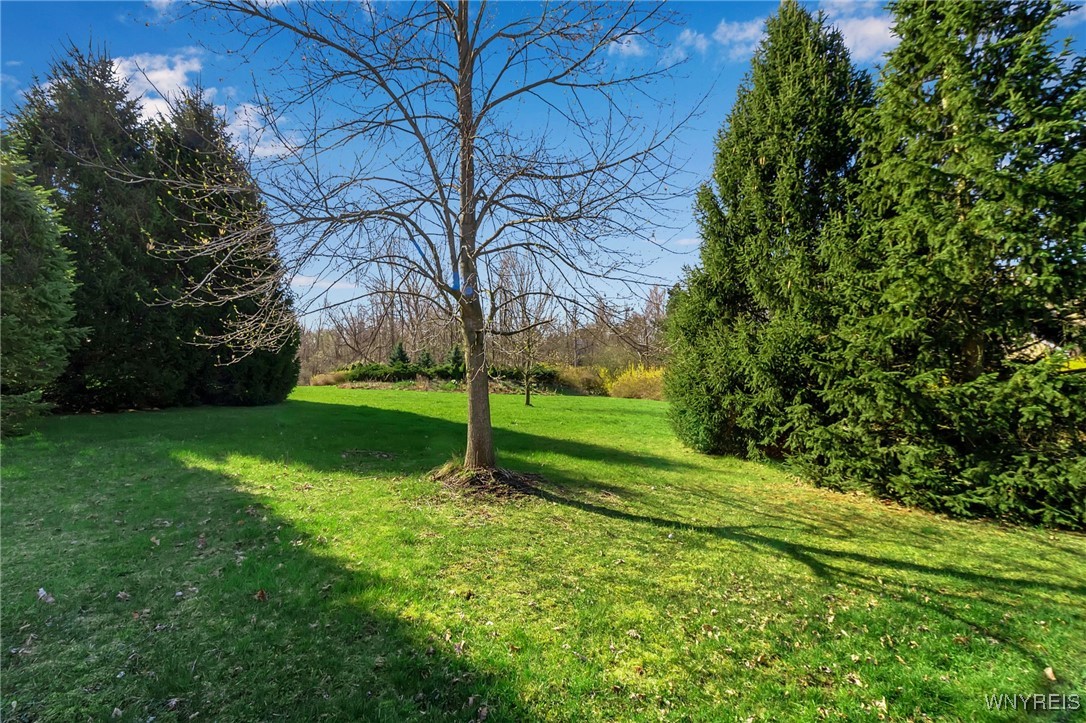 photo 3 : 9545 Turnstone Drive, Clarence NY 14031