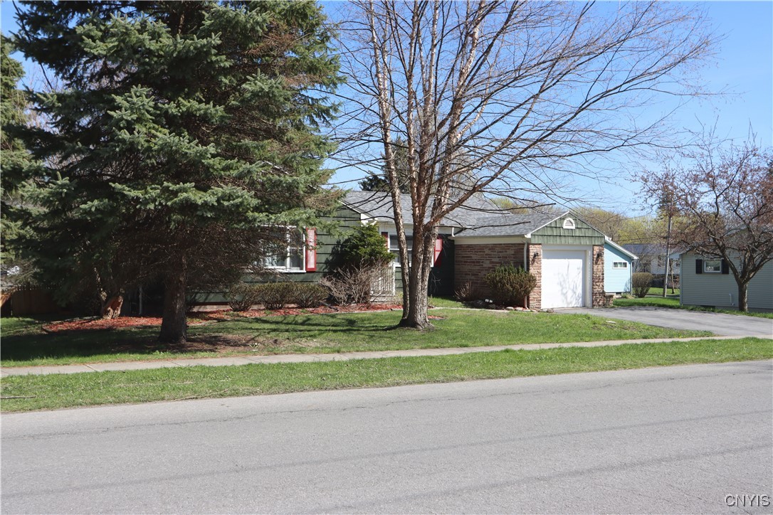 photo 2 : 1115 Sherman Street, Watertown City NY 13601