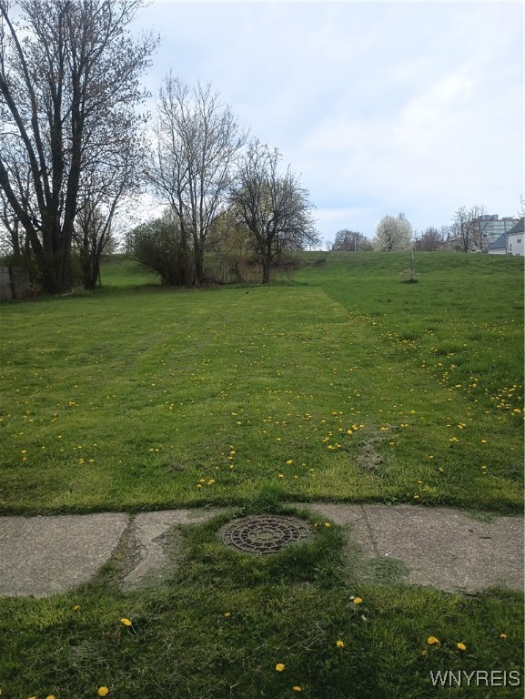 photo 0: 809 East Eagle Street S, Buffalo NY 14210