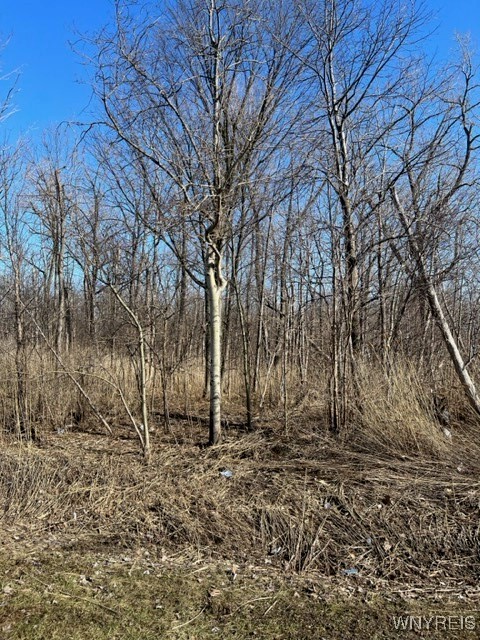 photo undefined: 0 Wilson Avenue South, Lancaster NY 14086