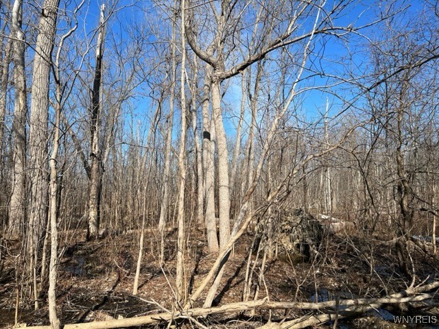 photo 2 : 0 Wilson Avenue South, Lancaster NY 14086