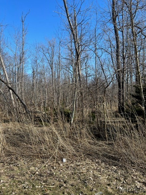photo undefined: 0 Wilson Avenue South, Lancaster NY 14086