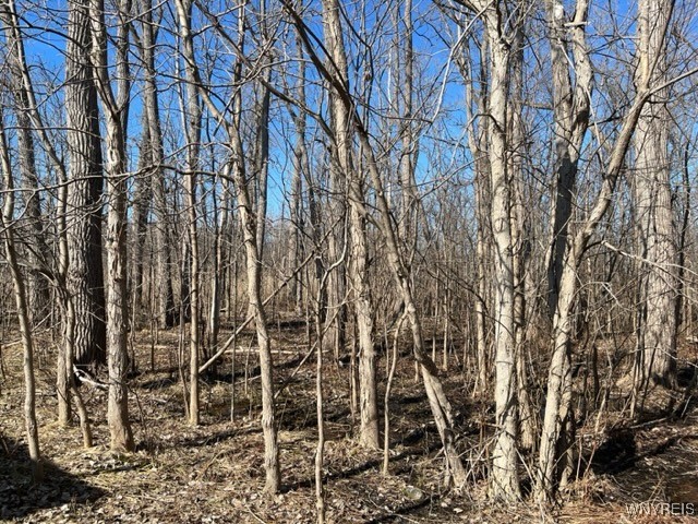 photo undefined: 0 Wilson Avenue South, Lancaster NY 14086