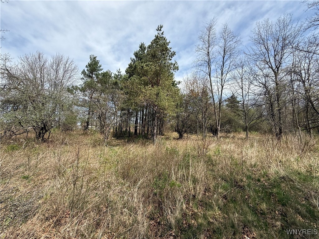 photo undefined:  Braley Road, Porter NY 14174