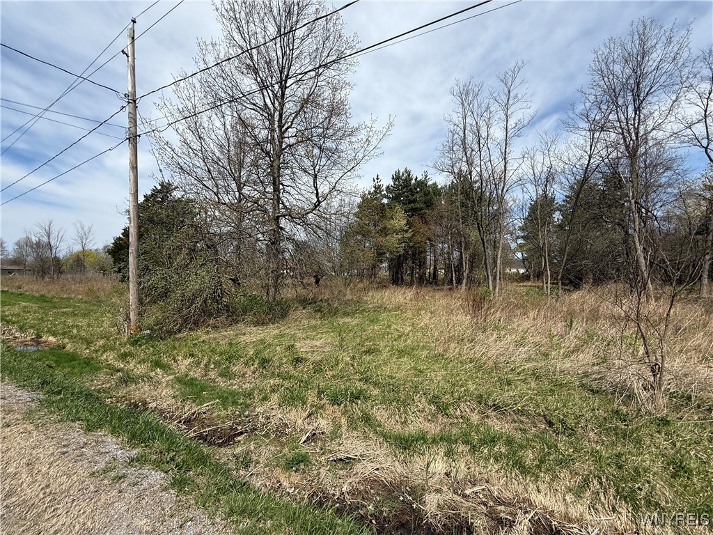 photo 3 :  Braley Road, Porter NY 14174
