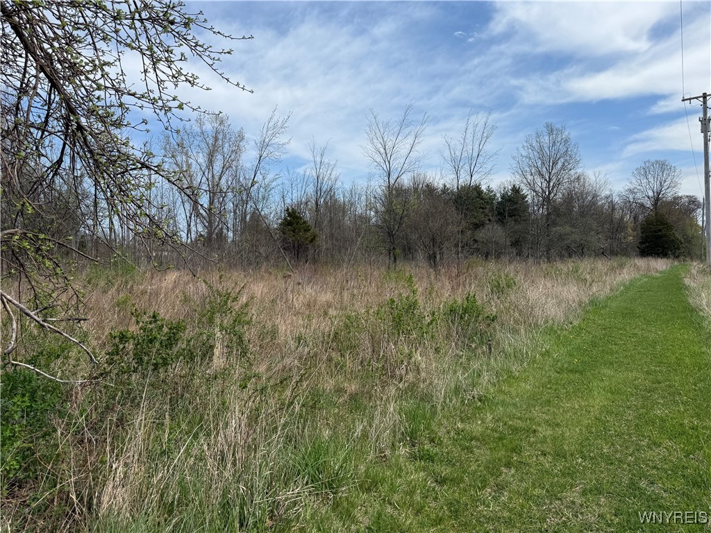 photo 4 :  Braley Road, Porter NY 14174